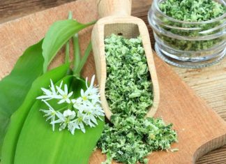 Czosnek niedźwiedzi to wiosenny rarytas i zastrzyk zdrowia. Jeśli zobaczysz go w lesie, nie zbieraj, tylko biegnij na targ