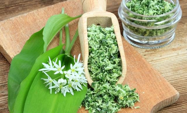 Czosnek niedźwiedzi to wiosenny rarytas i zastrzyk zdrowia. Jeśli zobaczysz go w lesie, nie zbieraj, tylko biegnij na targ