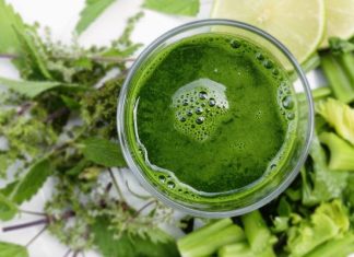 Zielona moc pokrzywy. Jak wykorzystać ten popularny chwast dla zdrowia? Poznaj właściwości pokrzywy i wypróbuj przepisy