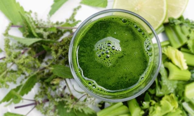 Zielona moc pokrzywy. Jak wykorzystać ten popularny chwast dla zdrowia? Poznaj właściwości pokrzywy i wypróbuj przepisy