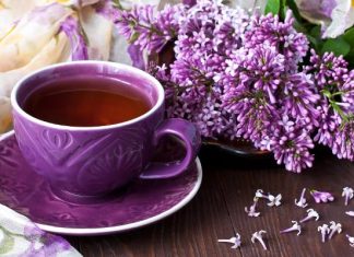 Zapach wiosny w filiżance. Herbata z bzu lilaka ma liczne właściwości zdrowotne. Sprawdzi się na kaszel, wątrobę i uspokojenie