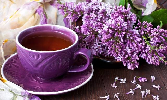 Zapach wiosny w filiżance. Herbata z bzu lilaka ma liczne właściwości zdrowotne. Sprawdzi się na kaszel, wątrobę i uspokojenie