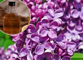 Nalewka z bzu lilaka pięknie pachnie, a do tego leczy. To tani środek na reumatyzm, pasożyty i dnę moczanową oraz ból głowy