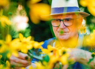 Pozornie niewinny, a może zabić. Nie daj się zwieść i nie pomyl z leczniczym ziołem. Uważaj, bo jest toksyczny