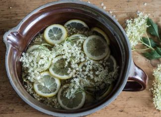 Kwiaty czarnego bzu działają prozdrowotnie. Zrobisz z nich leczniczy napar lub syrop. Na co pomaga czarny bez?