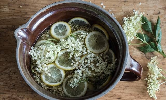 Kwiaty czarnego bzu działają prozdrowotnie. Zrobisz z nich leczniczy napar lub syrop. Na co pomaga czarny bez?