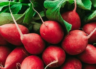 Dlaczego warto jeść rzodkiewkę? Naturalny sposób na detoks, lepszy metabolizm i zdrową wątrobę