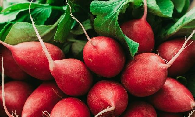 Dlaczego warto jeść rzodkiewkę? Naturalny sposób na detoks, lepszy metabolizm i zdrową wątrobę