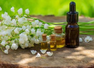 Domowe krople nasercowe i środek uspokajający. „Złota woda” to lek i toksyna – stosuj ostrożnie. Nazbieraj kwiatów i zrób nalewkę