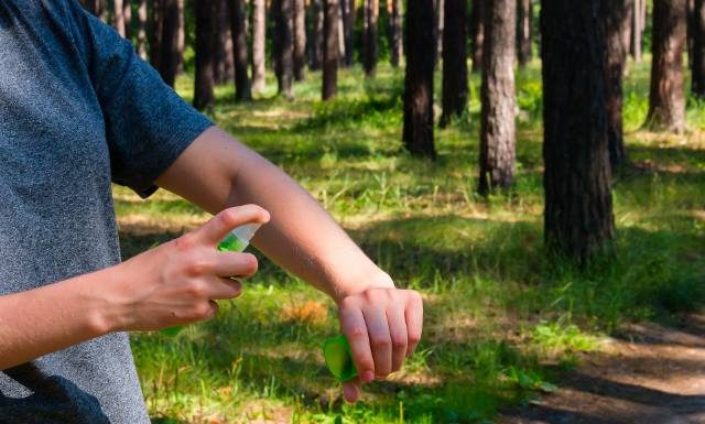 Krwiożercze kleszcze czyhają. Zabezpiecz się przed chorobami, żeby nie ryzykować zdrowia. Jaki preparat na kleszcze wybrać?