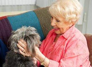 Czworonożny przyjaciel na pomoc pacjentom. Zobacz, na czym polega praca psa terapeuty. W jaki sposób pies może ci pomóc?