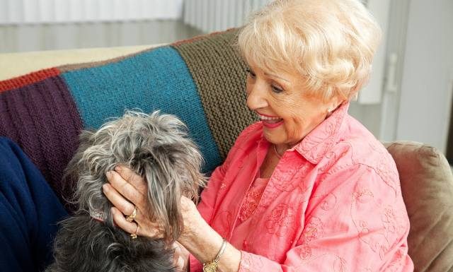 Czworonożny przyjaciel na pomoc pacjentom. Zobacz, na czym polega praca psa terapeuty. W jaki sposób pies może ci pomóc?