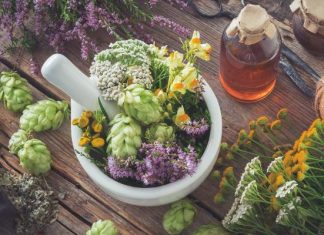 W czerwcu idź na łąkę i nazbieraj. Tymi ziołami uzupełnisz domową apteczkę. Wspierają pracę wątroby i obniżają ciśnienie