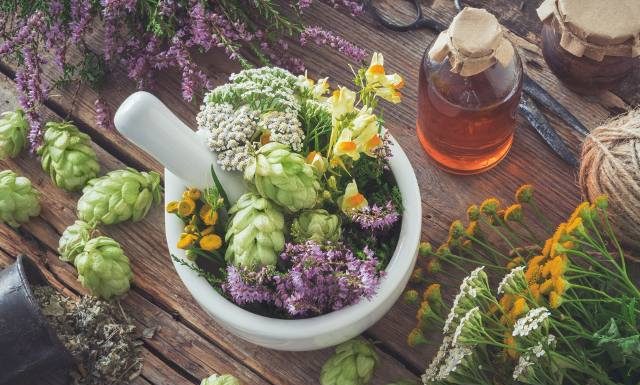 W czerwcu idź na łąkę i nazbieraj. Tymi ziołami uzupełnisz domową apteczkę. Wspierają pracę wątroby i obniżają ciśnienie