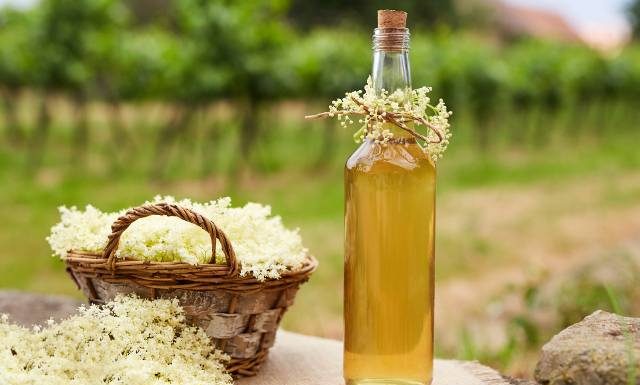 Nalewka z kwiatów czarnego bzu to naturalne remedium niestrawność i podwyższony cholesterol. Wypróbuj babciny przepis