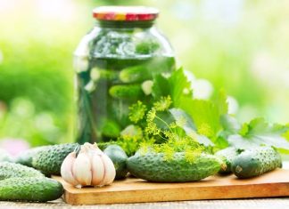 Kto powinien częściej jeść ogórki kiszone? Kiszonki wspierają zdrowie jelit i wzmacniają odporność. Na jakie schorzenia pomagają?
