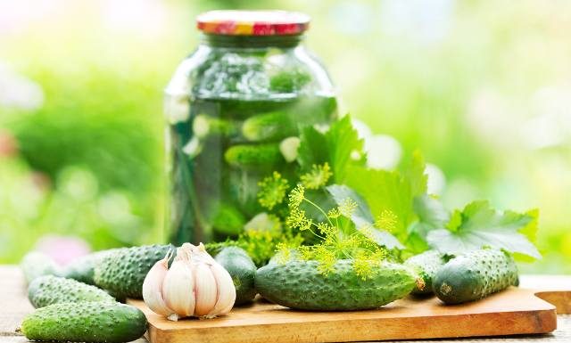 Kto powinien częściej jeść ogórki kiszone? Kiszonki wspierają zdrowie jelit i wzmacniają odporność. Na jakie schorzenia pomagają?