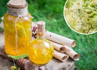 Nalewka z lipy poprawia odporność i zwalcza kaszel. Obniża ciśnienie i cholesterol. Sprawdź nasz tradycyjny przepis na nalewkę z lipy