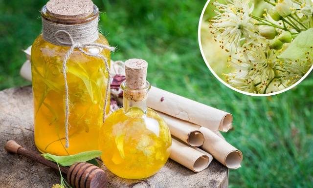 Nalewka z lipy poprawia odporność i zwalcza kaszel. Obniża ciśnienie i cholesterol. Sprawdź nasz tradycyjny przepis na nalewkę z lipy