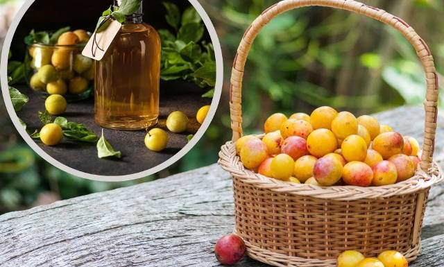 Po co mają leżeć pod drzewem i gnić? Przygotuj nalewkę z mirabelek, będzie idealna na zimę. Sprawdź przepis i właściwości mirabelkówki