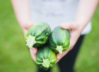 Jedno z najlżejszych warzyw. Cukinia jest niskokaloryczna i lekkostrawna. Sprawdź, dlaczego warto jeść ją nawet każdego dnia!