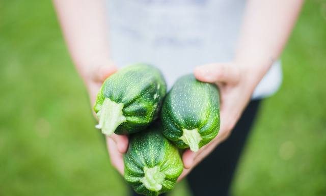 Jedno z najlżejszych warzyw. Cukinia jest niskokaloryczna i lekkostrawna. Sprawdź, dlaczego warto jeść ją nawet każdego dnia!