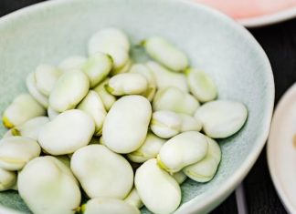 Bób nie dla każdego! Sprawdź, kto powinien go unikać. Te leki i choroby wykluczają jego jedzenie