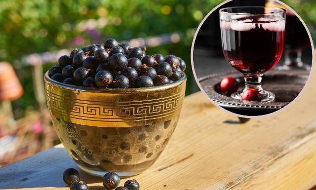 Eliksir młodości i specyfik na sokoli wzrok. Nalewka z czarnej porzeczki z przepisu babci obniża poziom cukru i cholesterolu