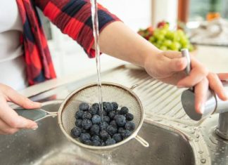 Jesz jagody prosto z krzaczka? Uważaj na tego pasożyta. Może rozwijać się w mózgu lub wątrobie. Sprawdź, jak się go pozbyć z jagód
