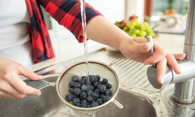Jesz jagody prosto z krzaczka? Uważaj na tego pasożyta. Może rozwijać się w mózgu lub wątrobie. Sprawdź, jak się go pozbyć z jagód