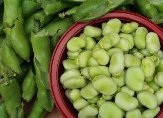 Jak ugotować bób, żeby smakował obłędnie? Poznaj 3 najlepsze triki. Dzięki nim bób nie spowoduje wzdęć i bólu brzucha