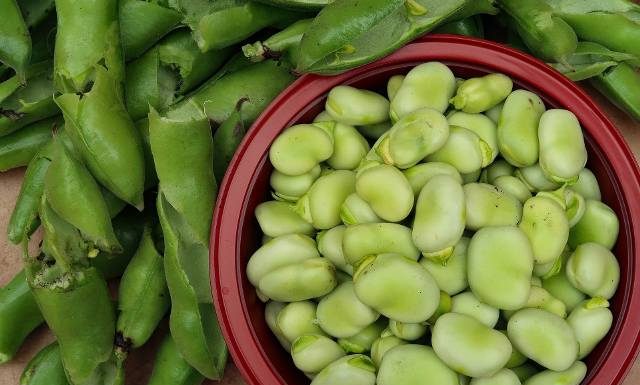 Jak ugotować bób, żeby smakował obłędnie? Poznaj 3 najlepsze triki. Dzięki nim bób nie spowoduje wzdęć i bólu brzucha