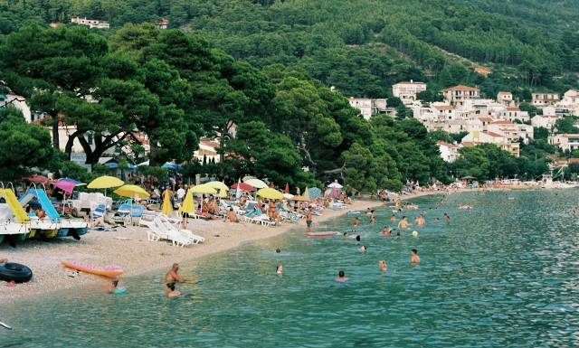 Nie tylko słońce parzy. Co cię może ukłuć, ugryźć albo poparzyć podczas urlopu? Sprawdź, jak ich unikać i co robić, gdy dojdzie do kontaktu