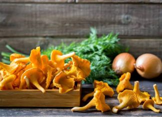 Pomogą na pasożyty i trawienie. Poznaj 5 powodów, dla których warto jeść kurki. Jajecznicę z kurkami mogą jeść nawet osoby z dną moczanową