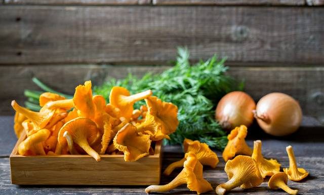 Pomogą na pasożyty i trawienie. Poznaj 5 powodów, dla których warto jeść kurki. Jajecznicę z kurkami mogą jeść nawet osoby z dną moczanową