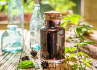 Nalewka z jeżyn, czyli naturalny sposób na lepszą odporność. Musisz spróbować! Przepis jest całkiem prosty. Tak przygotujesz jeżynówkę