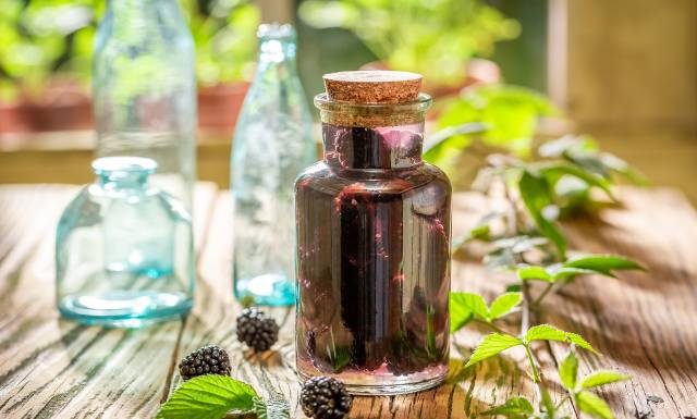 Nalewka z jeżyn, czyli naturalny sposób na lepszą odporność. Musisz spróbować! Przepis jest całkiem prosty. Tak przygotujesz jeżynówkę