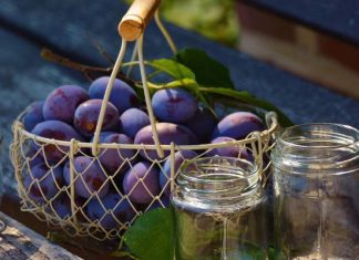 5 powodów, aby jeść śliwki. Pomogą nie tylko na zaparcia, ale też przy miażdżycy i nadciśnieniu tętniczym