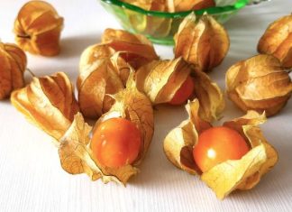 Superowoc dla serca i promiennej skóry. Dlaczego warto jeść miechunkę? Zobacz, co kryje w sobie miechunka peruwiańska i rozdęta