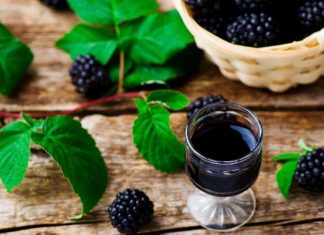 Wzmocnij odporność z nalewką z jeżyn. Poznaj prosty przepis na pyszny i zdrowy domowy eliksir