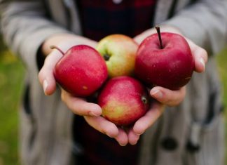 Zjedz jabłko, a zyskasz wiele. Polski superowoc wzmocni serce, poprawi figurę i wzrok