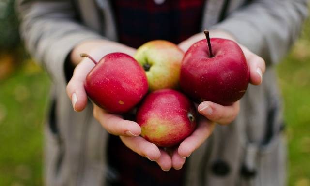Zjedz jabłko, a zyskasz wiele. Polski superowoc wzmocni serce, poprawi figurę i wzrok