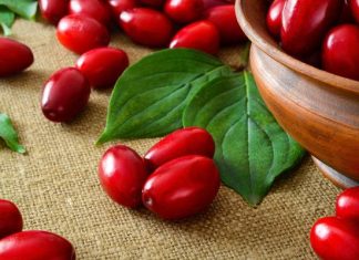 Supermoc na odporność – dereń pomoże w leczeniu grypy i biegunki. Zobacz przepisy na dereniówkę i dżem!