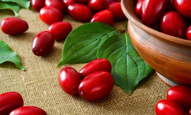 Supermoc na odporność – dereń pomoże w leczeniu grypy i biegunki. Zobacz przepisy na dereniówkę i dżem!