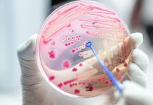 Gorączka, dreszcze i… śmiertelne zagrożenie. Takie są pierwsze objawy sepsy