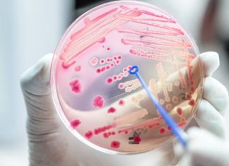 Gorączka, dreszcze i… śmiertelne zagrożenie. Takie są pierwsze objawy sepsy