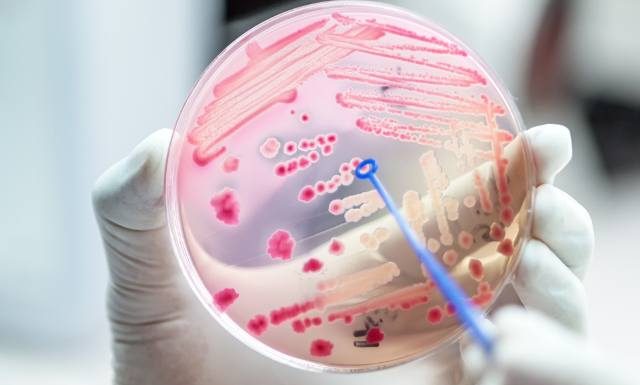 Gorączka, dreszcze i… śmiertelne zagrożenie. Takie są pierwsze objawy sepsy