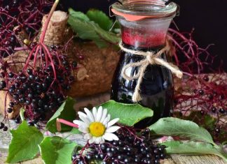 Nalewka z czarnego bzu łagodzi objawy przeziębienia i wzmacnia odporność. Wypróbuj prosty przepis babci na nalewkę