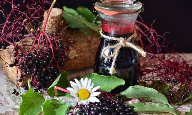 Nalewka z czarnego bzu łagodzi objawy przeziębienia i wzmacnia odporność. Wypróbuj prosty przepis babci na nalewkę