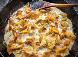 Przyrządzasz tak kurki? Niszczysz ich właściwości. Leśnicy wyjaśniają jak przygotować je prawidłowo